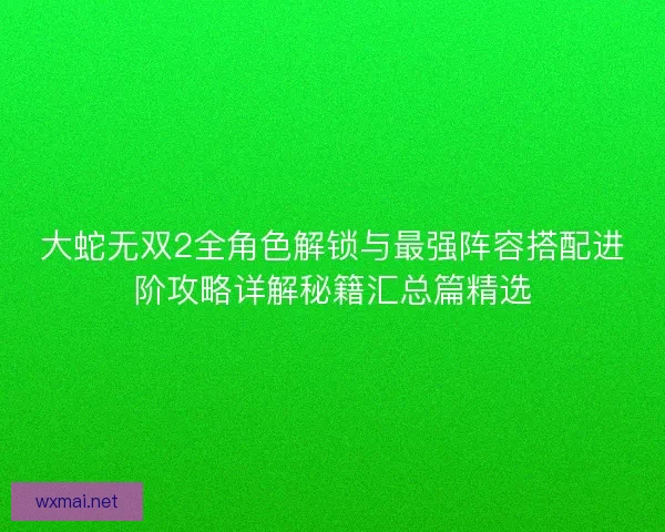 大蛇无双2全角色解锁与最强阵容搭配进阶攻略详解秘籍汇总篇精选