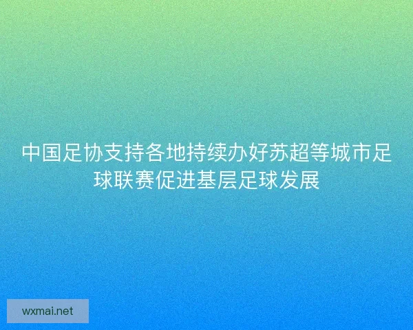 中国足协支持各地持续办好苏超等城市足球联赛促进基层足球发展