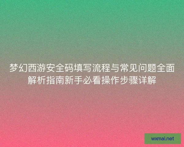 梦幻西游安全码填写流程与常见问题全面解析指南新手必看操作步骤详解